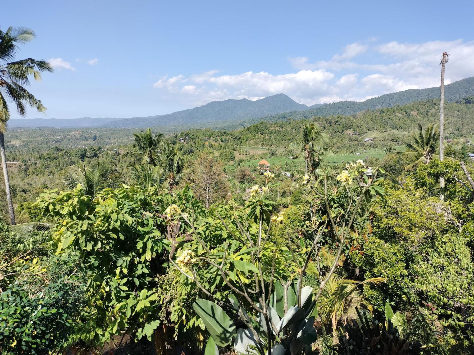 D'Kailash Retreat Singaraja Екстериор снимка