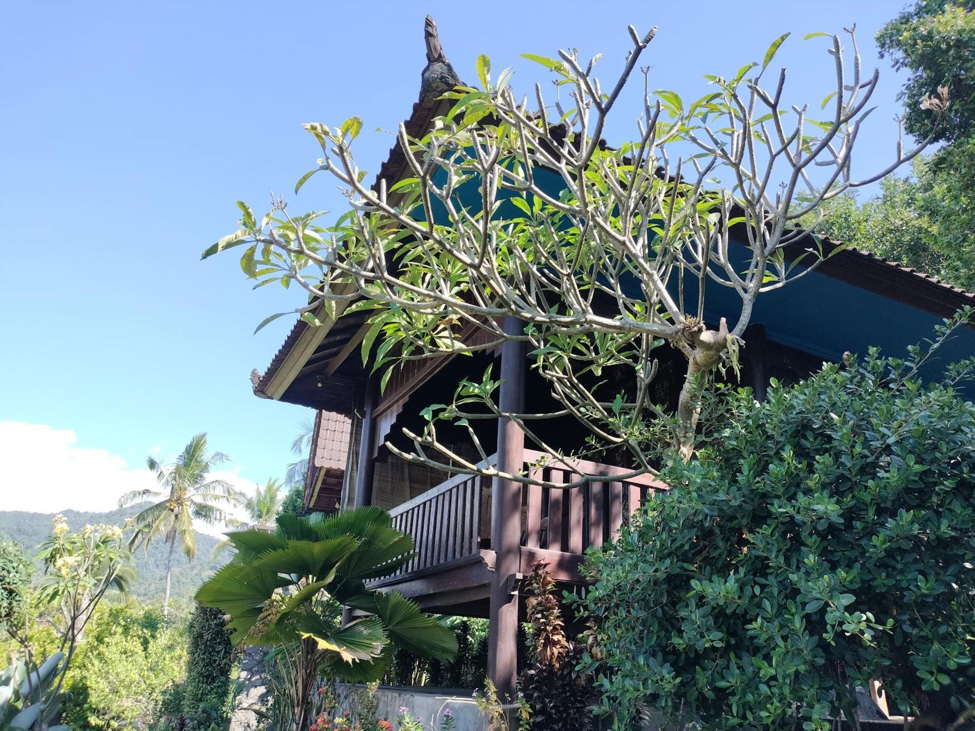 D'Kailash Retreat Singaraja Екстериор снимка